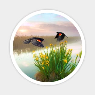 Blackbirds Dance with Iris Magnet